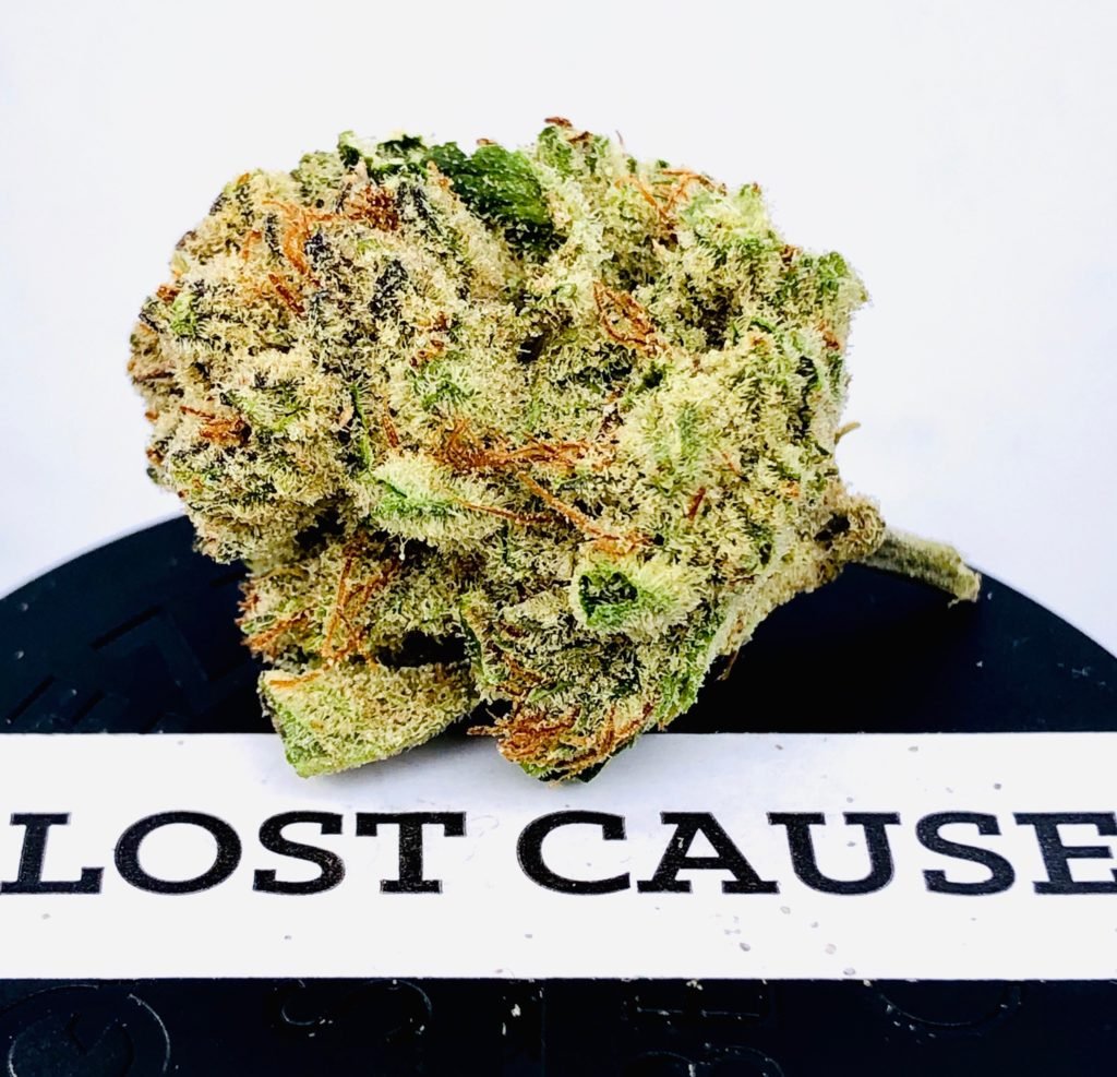 lost-cause-by-strane-maryland-cannabis-reviews