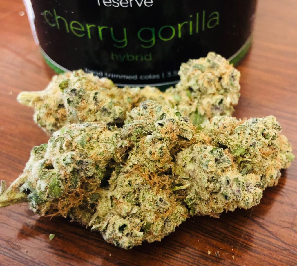 Cherry Gorilla is generally known to be a very balanced Sativa/Indica (50/50% )Hybrid. Verano’s Cherry Gorilla is more of a Sativa dominant hybrid reflecting something closer to 70/30% Sativa/Indica. Although the physical Indica body ocular pressure and core warming seem to came on first, the Sativa arrives soon after with an intensity that carries this strain to its peak. This is a very uplifting strain which is attributed, in part, to a high level of limonene (0.636% in this particular batch). Limonene is a modulator of THC, and you can really feel it exerting it’s influence here. The African landrace roots in its Cherry Pie genetics definitely extend through to the effects of Cherry Gorilla. racing thought patterns, sensations of uplifted, intense, and even a sort of excited euphoria were present and quite long lasting. The THC concentration is very high at .77% where normally I see levels between 0.1-2.0 or similar. This batch of this strain seems to be pulling quite a high number of derived THC from THCa, and therefore, it really amplifies the strain’s effects. Even at 24% THCa, this batch of Cherry Gorilla is more potent than strains above 30%, especially if they are only deriving, say .12% THC from 30% THCa. The sedative effects of GG4 bring muscle tension relief and a soothing sense of well-being which carry the head-buzz to new, and I believe, longer lasting heights. This is would be a very nice morning and daytime strain, but I found it suitable for the whole day. It was really effective for concentration and creativity and a very functional strain overall in my opinion.