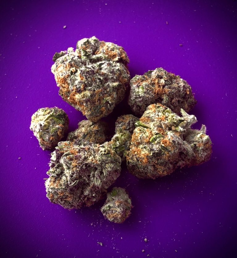 Purple Punch Cannabis Strain Batch Stock Photo - Download Image Now - iStock