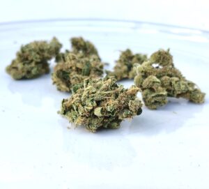 buds of lemon skunk cannabis by sunmed growers