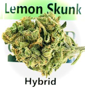lemon skunk by sunmed growers in front of label