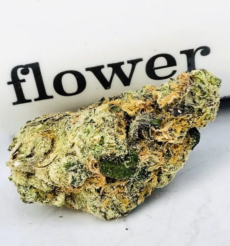 wizard gum bud in front of curio container displaying the word flower in dark contrast to the white background