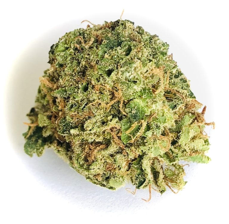 bud of Ray Charles by Grassroots
