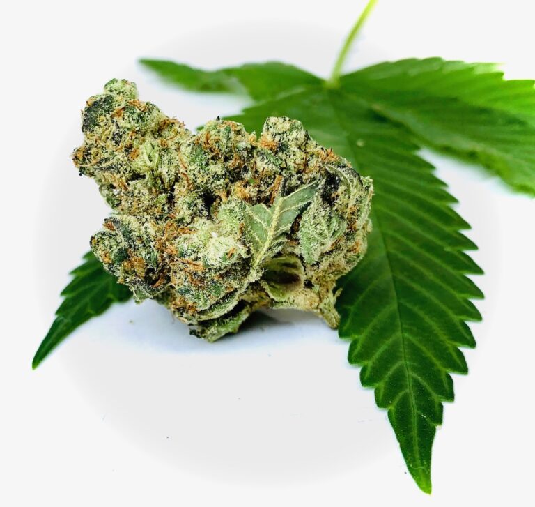 bud of garlic cookies by grassroots positioned on the edge of a cannabis leaf contrasted by a white background