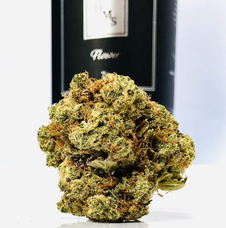 round bud of afghani strain in foreground with black hms container blurred all on a white background