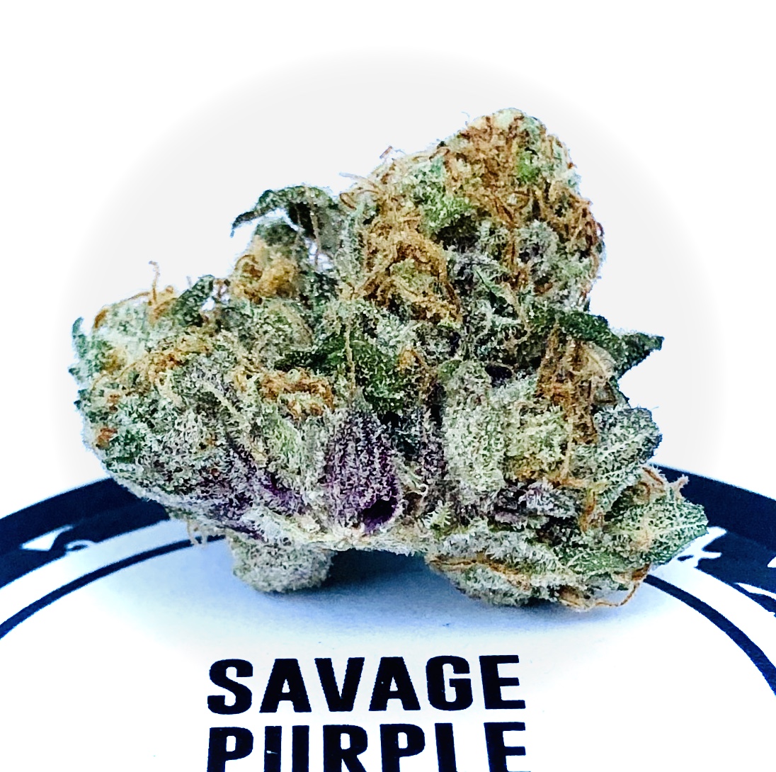 Savage Purple by Culta - Maryland Cannabis Reviews
