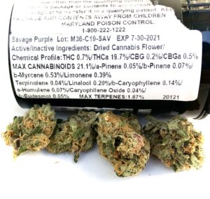 savage purple terpene and potency label with buds