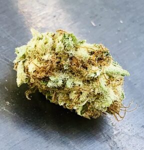 small hairy bud of airborne skunk