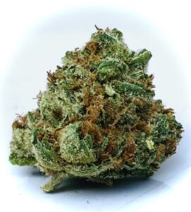 solitary bud of evermore airborne skunk