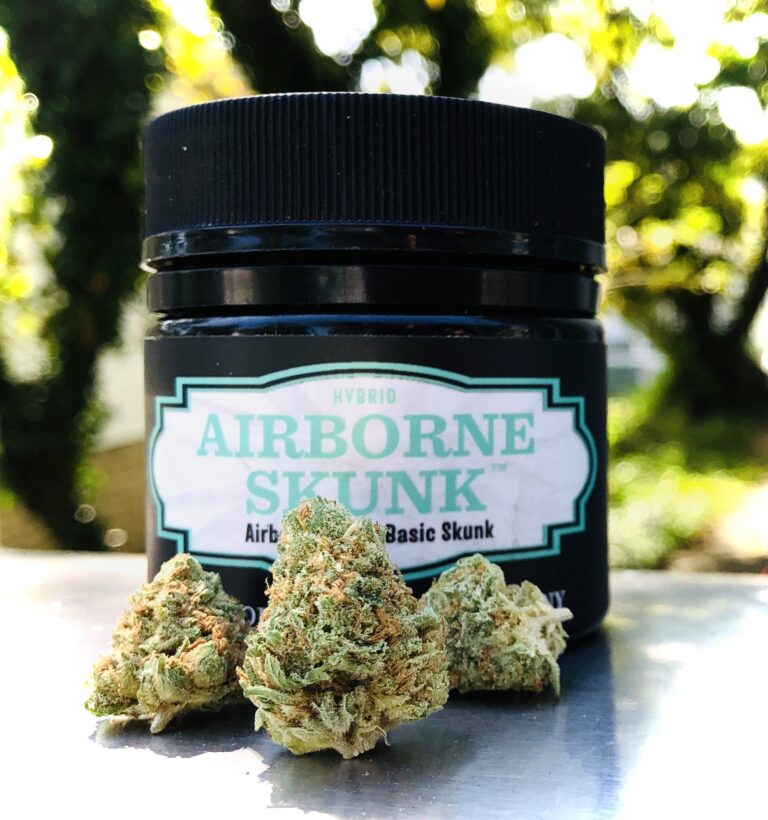 three beautiful buds of airborne skunk in front of evermore container