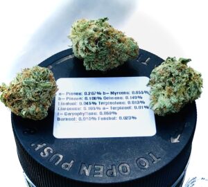 three buds of airborne skunk by evermore ontop of lid with terpene label