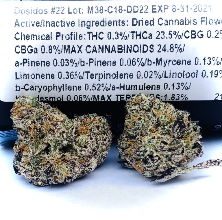 Dosidos #22-22 terpene and potency label with two buds