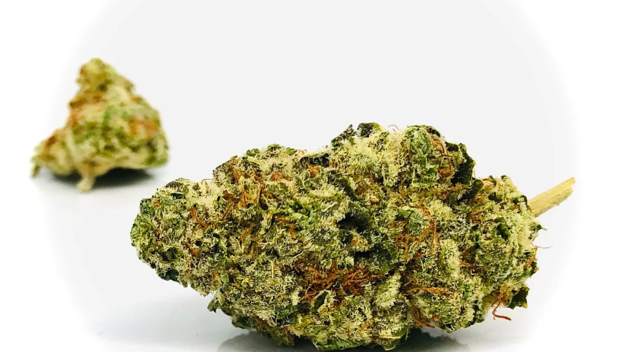 Girl Scout Cookies by Harvest-RollOne