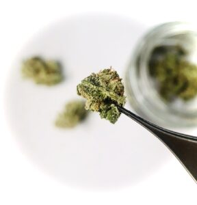 micro-dosing cannabis 8