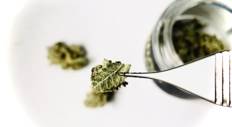 micro-dosing cannabis 9
