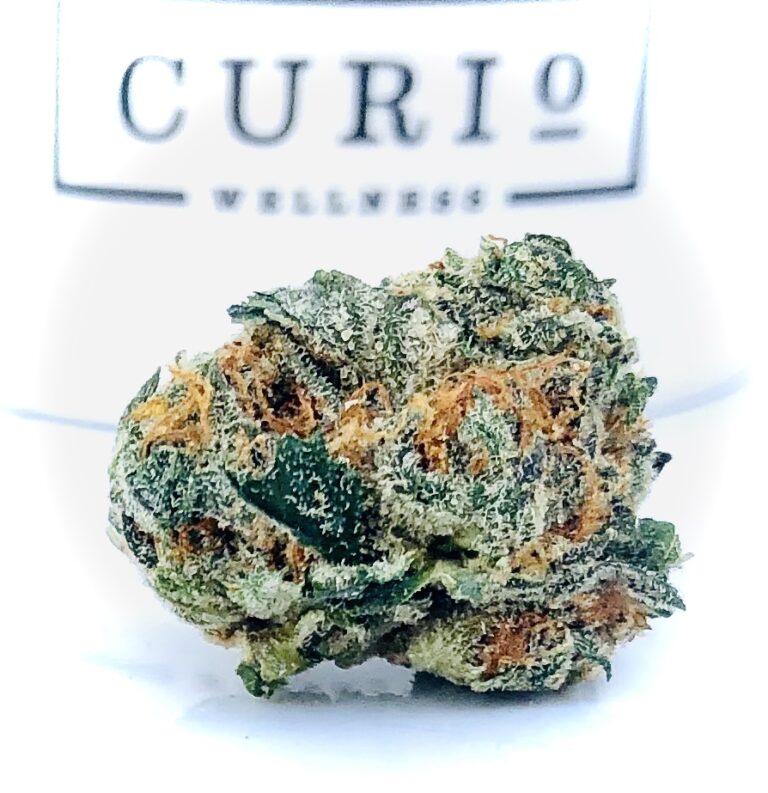 ogkb by curio og kush breath bud against curio container