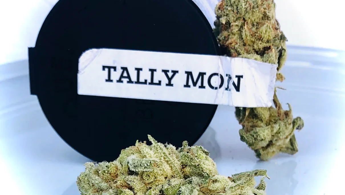 Tally Mon by Strane