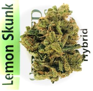 lemon skunk bud on sunmed label on green stripe