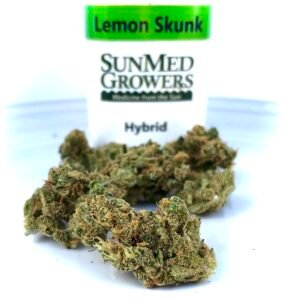 lemon skunk buds in front of sunmed bottle