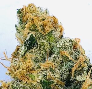 detailed closeup of poochie love cannabis flower