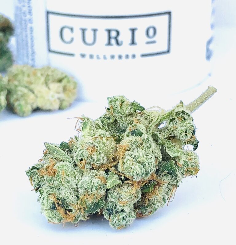 gorgeous bud of mk ultra by curio