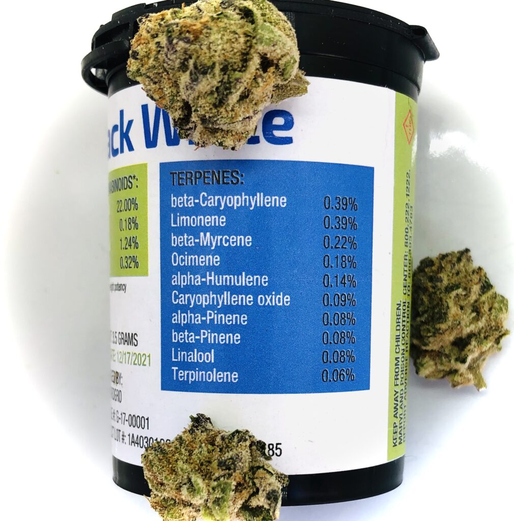blue terpene label on forwardgro container with buds of jack white strain arranged randomly around it