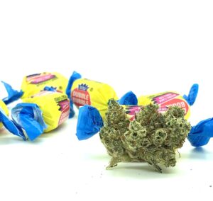 bud of bodega bubblegum with actual bubble gum with yellow blue and red wrapper twisted at the ends