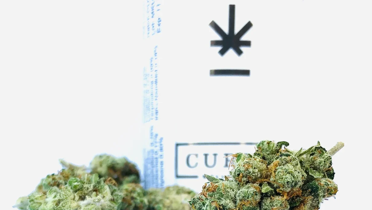 MK- Ultra by Curio