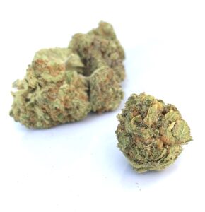 bud of pineapple kush with other pineapple kush buds out of focus in the background