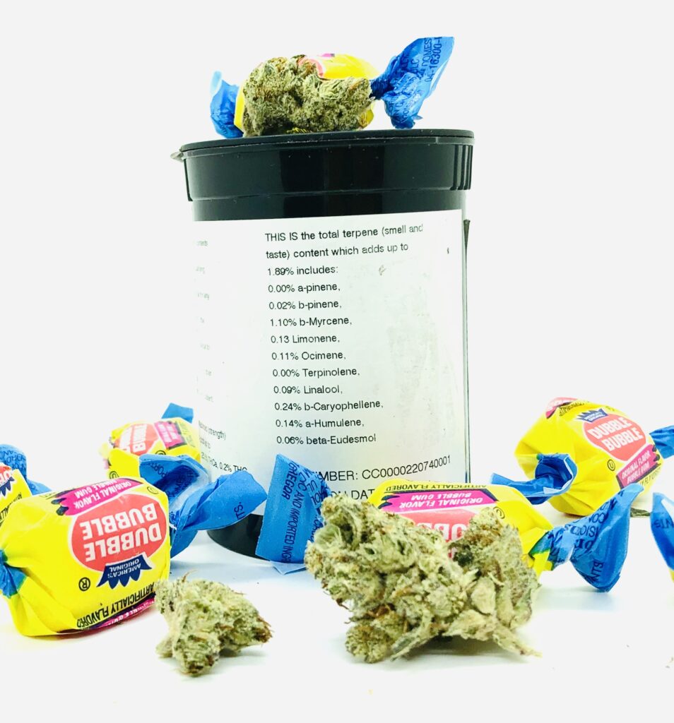 buds of bodega bubblegum pictured with pieces of bubble gum