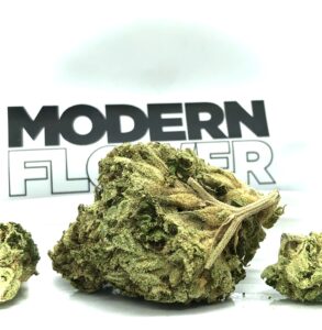 closer look at largest bud in eighth of element by modern flower
