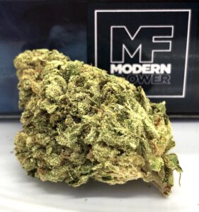 gorgeous large roughly trimmed nug of element by modern flower in front of modern flower box with small mf logo in right hand corner