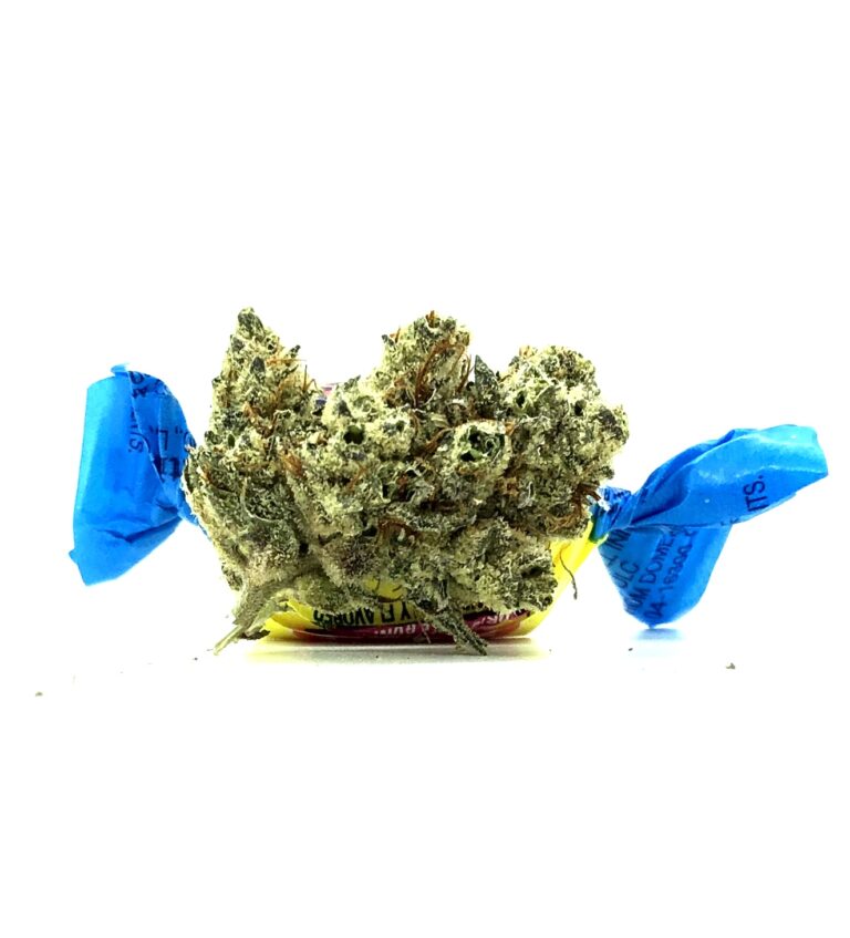 improved image of bodega bubblegum bud with blue bubble gum wrapper ties behind and on either side giving the illusion of bud candy