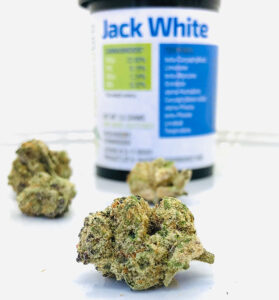 jack-white-bud-in-front-of-forwardgro-container