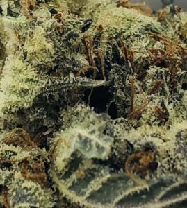 macro view of bodega bubblegum bud surface with pistils and trichomes