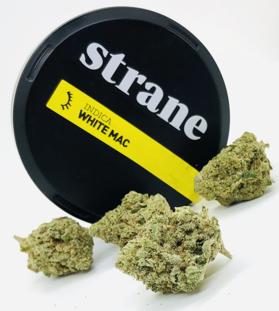 selection of white mac strain buds by strane
