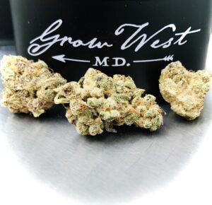 3 buds of grape pearls by grow west