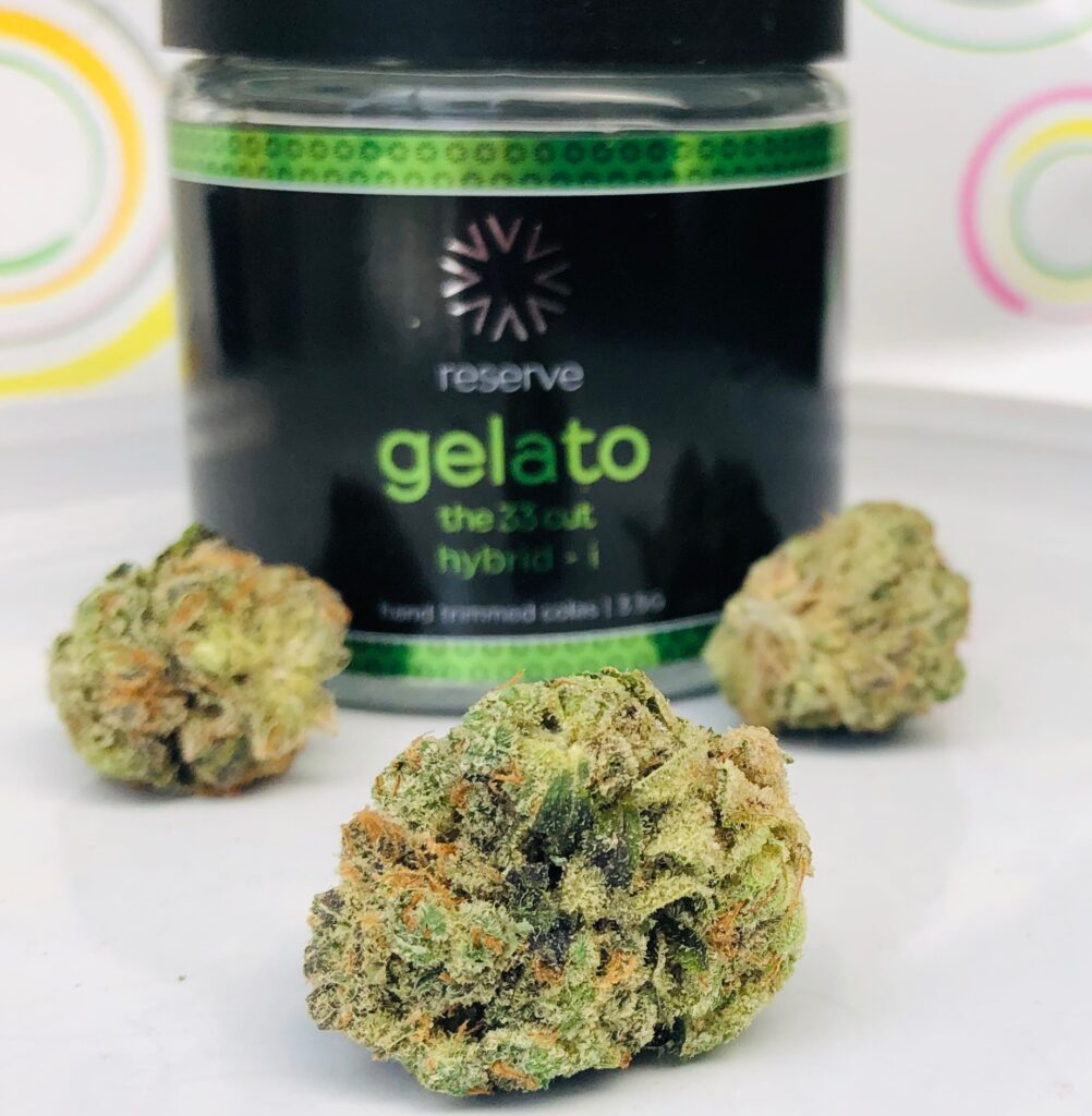 beautiful green bud o f gelato with other buds and verano jar in background