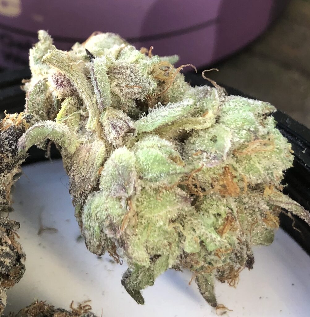 Ice Cream Cake Evermore Maryland Cannabis Reviews