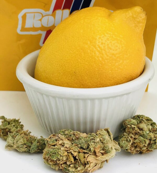 Lemon Kush Headband by Roll One /Harvest Maryland Cannabis Reviews