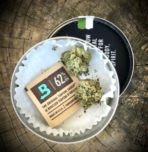 grow west tin from above with lid off and underneath on wood surface with boveda terpene pack and two buds of triangle kush by grow west