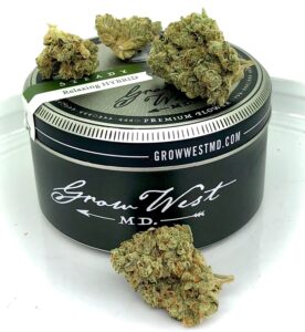 triangle kush by grow west with container