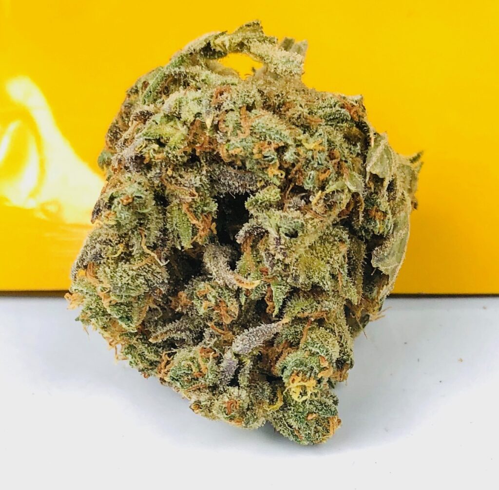 beautiful bud of bud of maui waui in front of yellow roll one bag