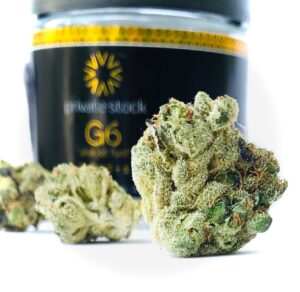 buds of g6 in a line in front of verano jar