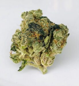 gorgeous green bud of G6 Jet Fuel by Verano