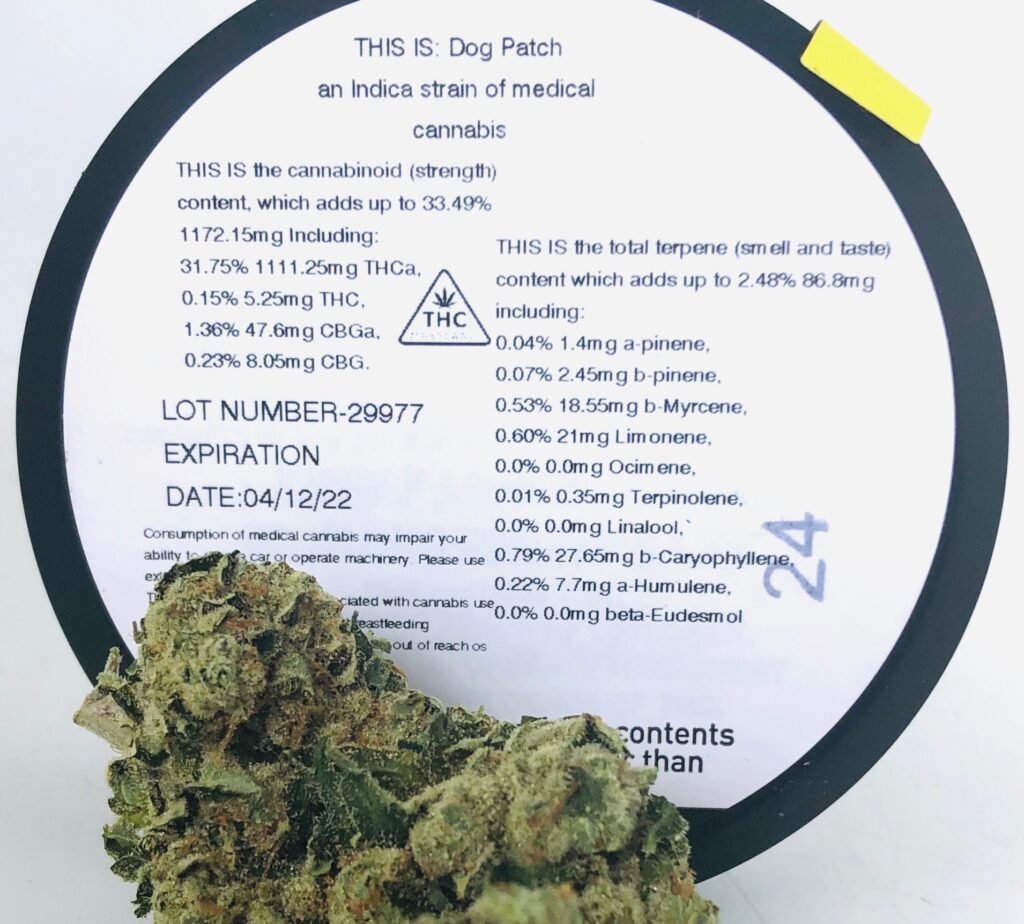 close shot of terpene and potency testing label for dog patch pictured with bud of dog patch at the bottom of the frame