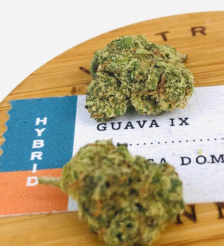 detail photo of guava ix strain buds on lid