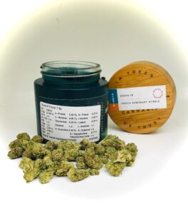 guava ix strain in front of jar displaying terpene levels and potency