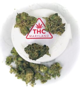 cookie face buds with red maryland thc label in the center