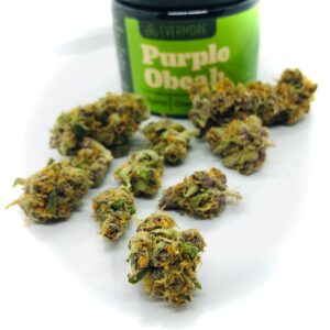buds of purple obeah by evermore